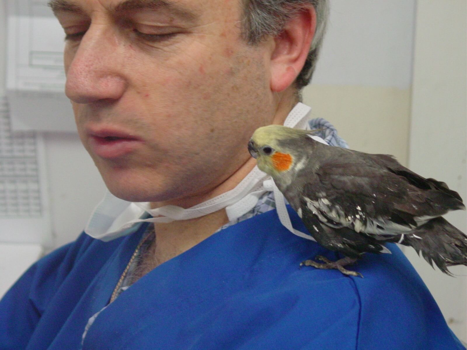 Dr Phil with Anakin after beak repair