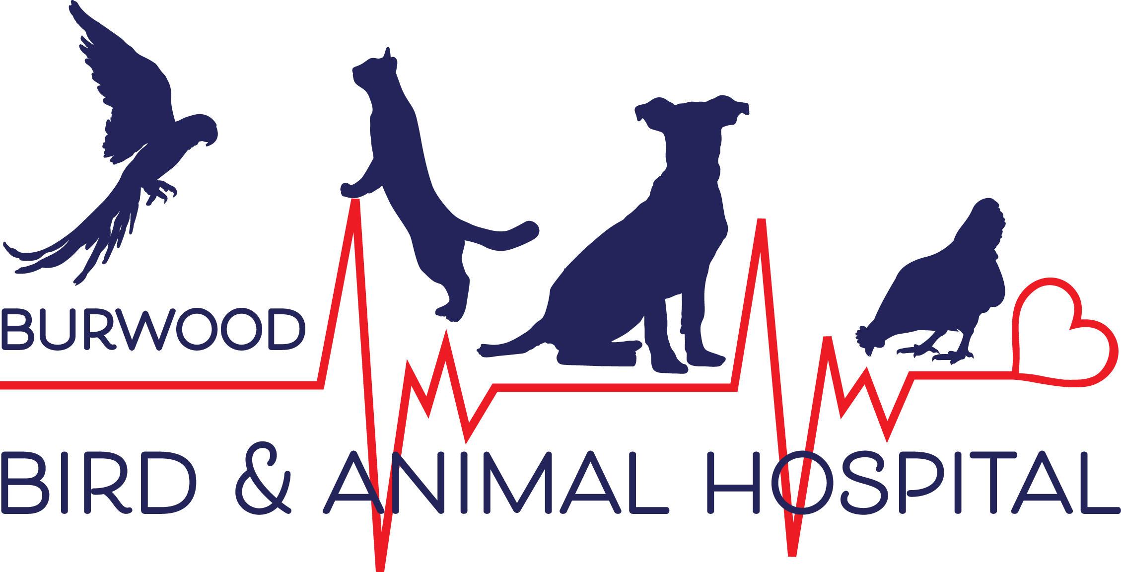 Bird Vet Melbourne Logo